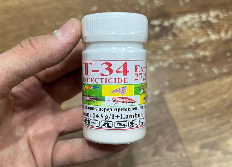 Таракан дори Америка (оригинал), клапа дори хам бор