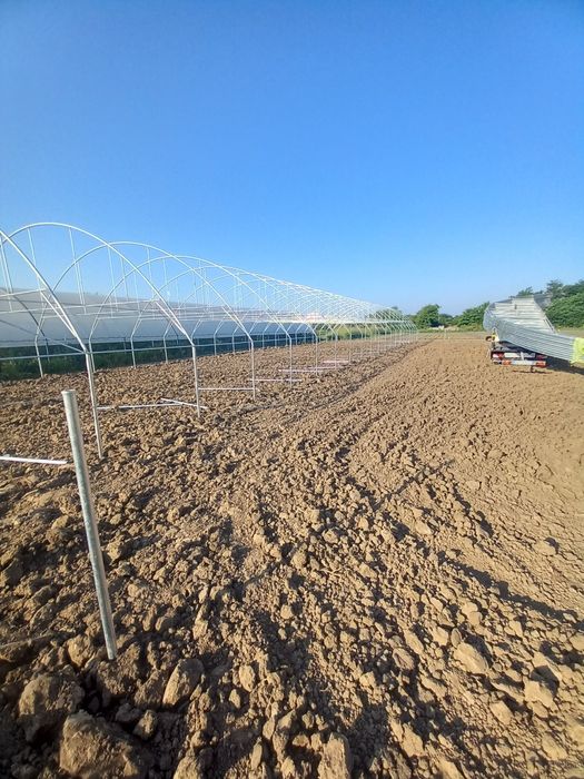 Solare legume și flori