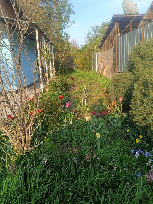 Продам два дома на одном участке