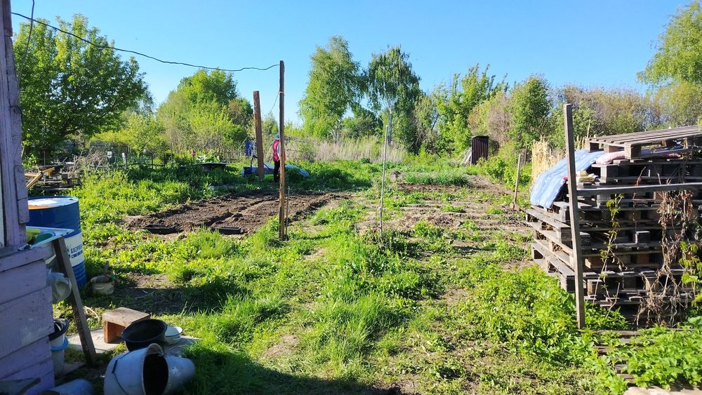 Продам дачу С/Т Сетевик.