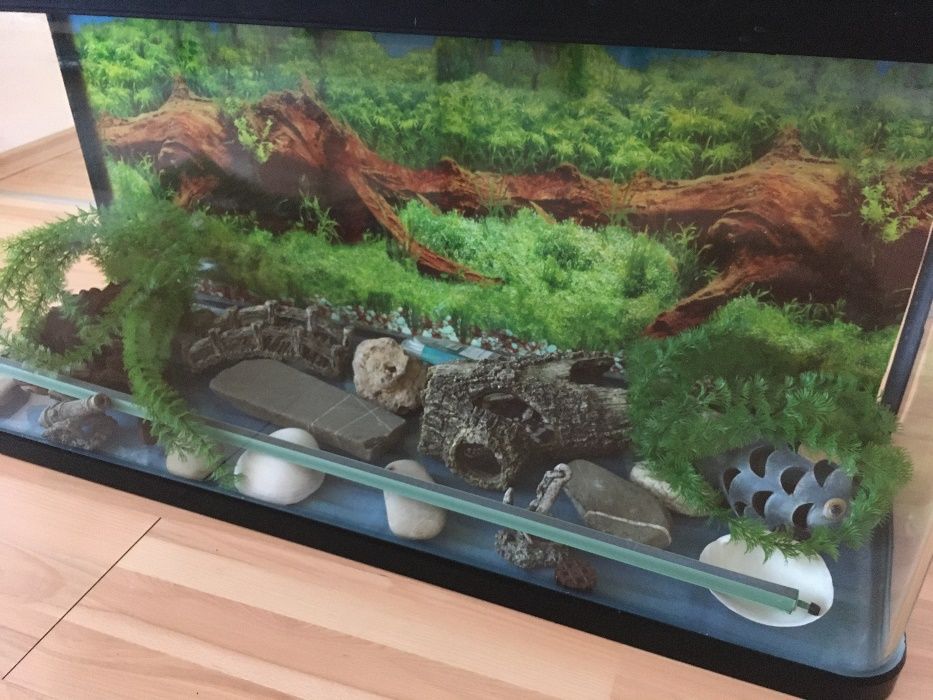 Аквариум с пълно оборудване
