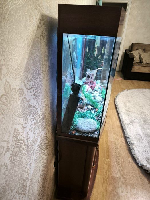 Продаётся аквариум с тумбой и со всеми причиндалами,