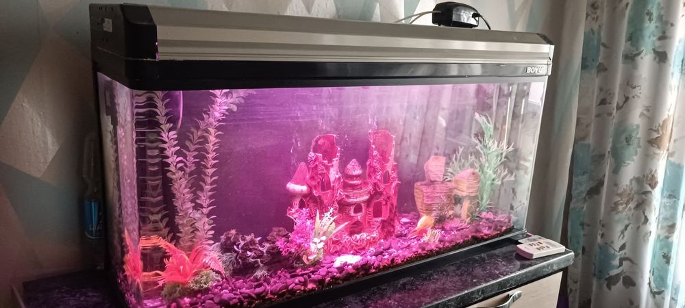 Аквариум 120 литров