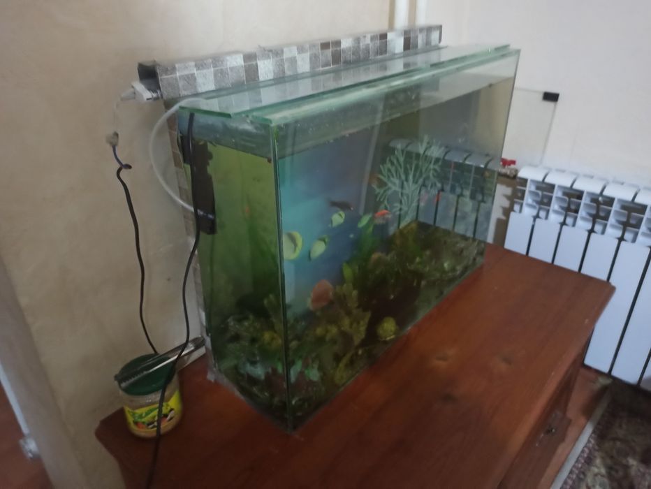 Аквариум готовый