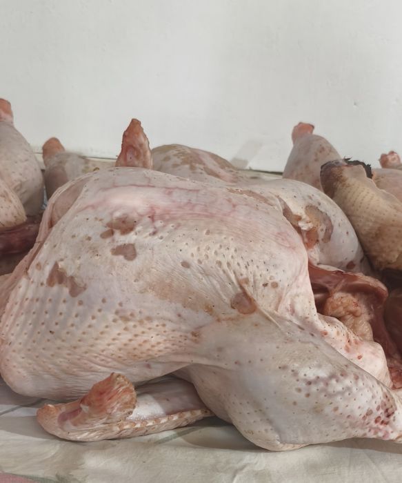 Свежее мясо индейки