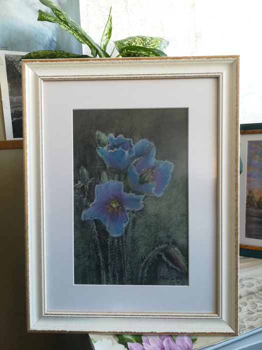 Tablouri realizate in pastel