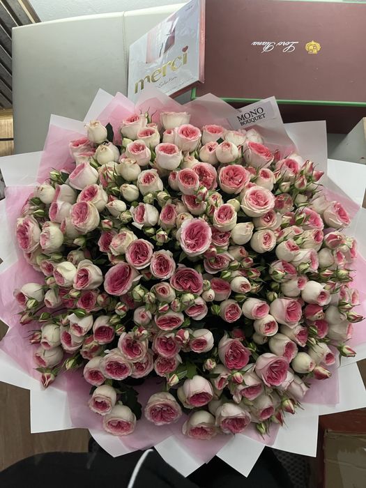 Цветы кустовые роз