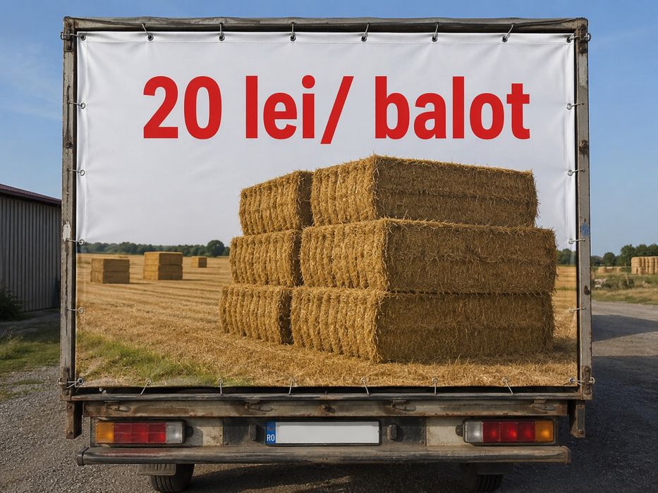 Vând URGENT baloți