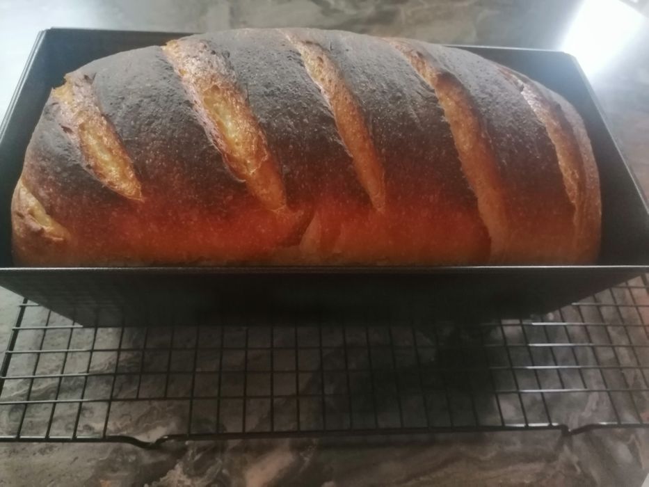 Vând maia naturala fără drojdie, pentru pâine, cozonac și aluaturi