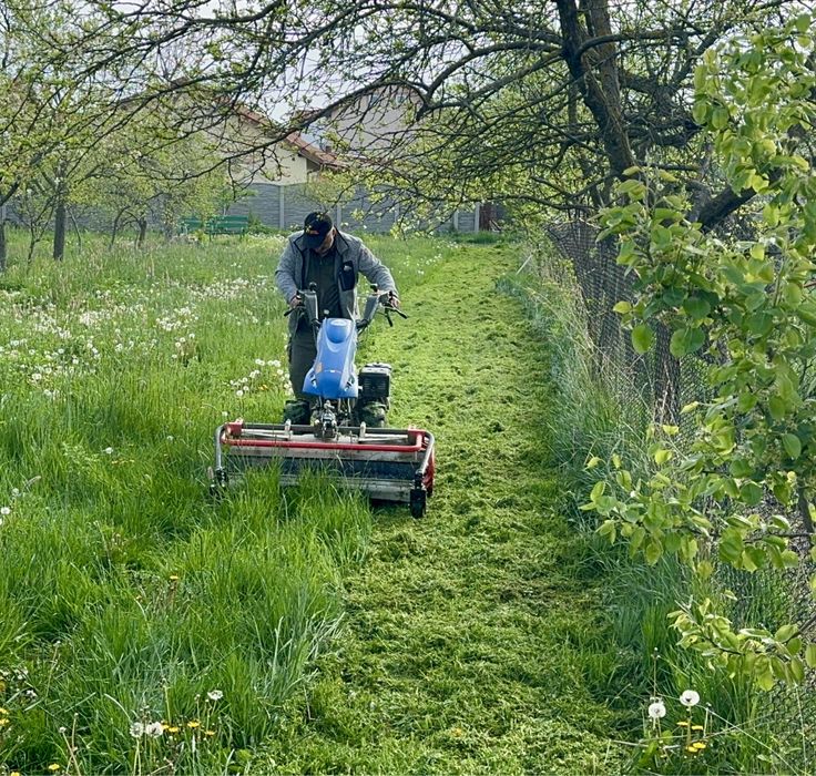 Servicii de cosire,curățare, defrișare  vegetatie terenuri.