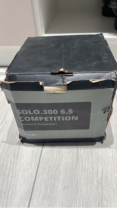 Прайд калонка Solo300