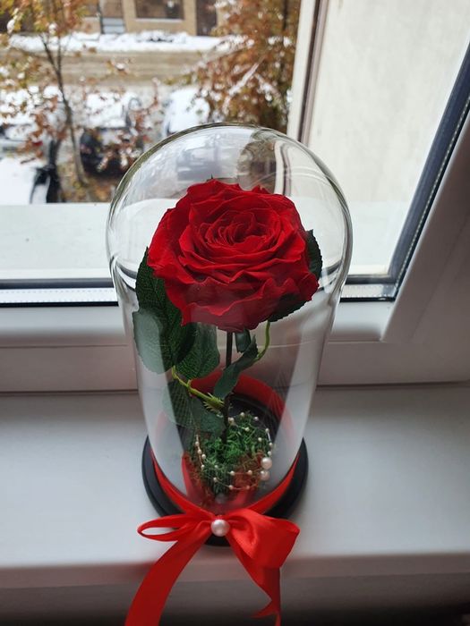 Cupola cu trandafir rosu criogenat