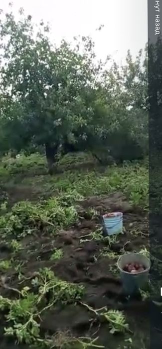 Продам дачу Железобетонщик