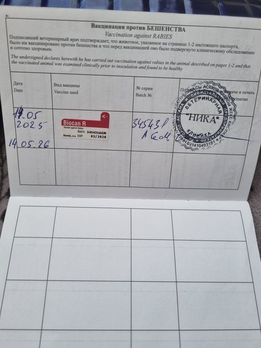 Отдам в добрые! руки !