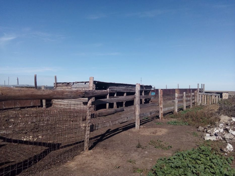 Продам дом в Умит апа