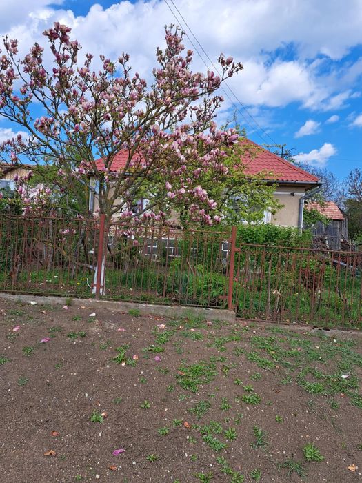Casă cu teren 2.200 mp și anexe gospodărești – Stupini, Sânmihaiu de Câmpie, Bistrița-Năsăud
