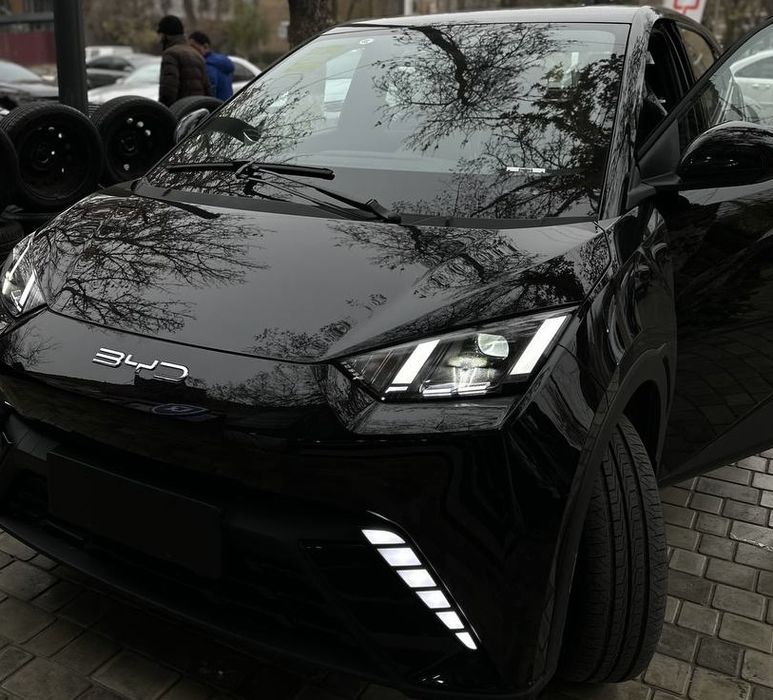 Byd seagull tumaka galimdori