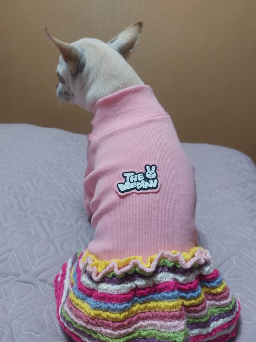 Одежда для собак.