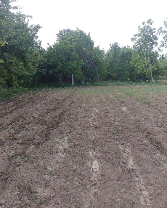 Продам свой земельный участок 24 сотки Кибрай Маданият.
