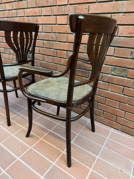 Столове с подлакътници Mundus, Vienna Secesion 1910'