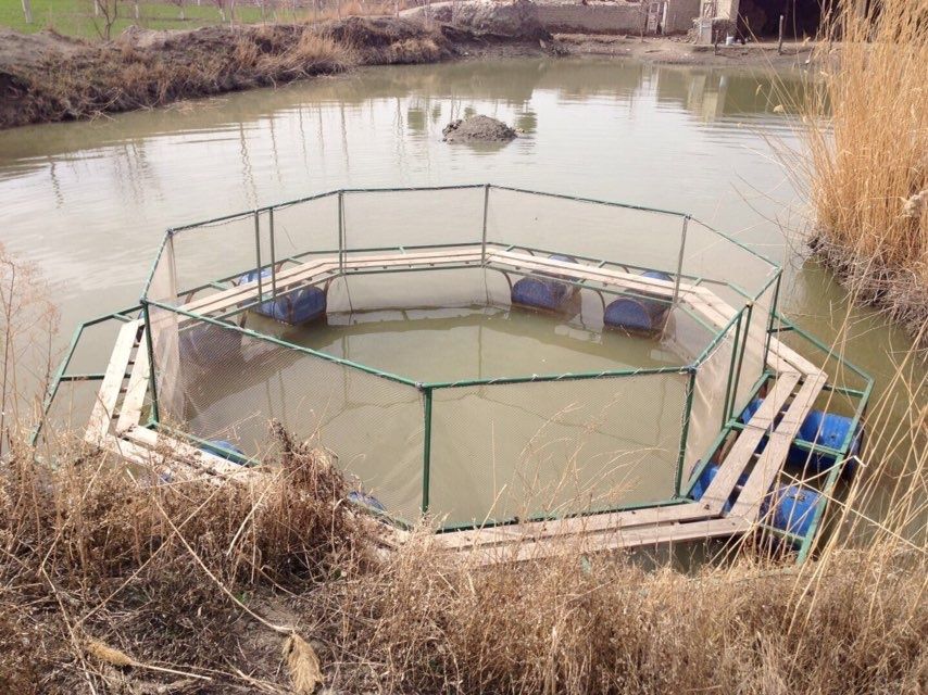Садок для разведение рыбы. Балик бокиш учун сетка кафас