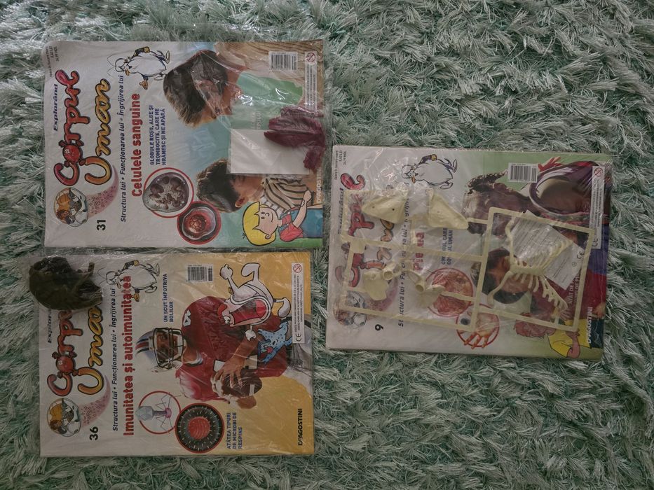 Numere Colectia Corpul Uman - DeAgostini