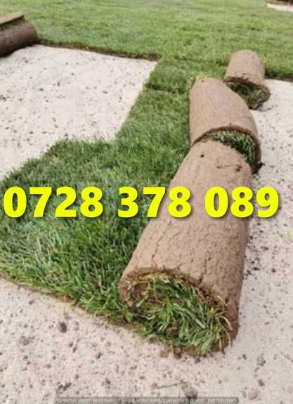 Gazon / Insamantare / Rulouri de Gazon