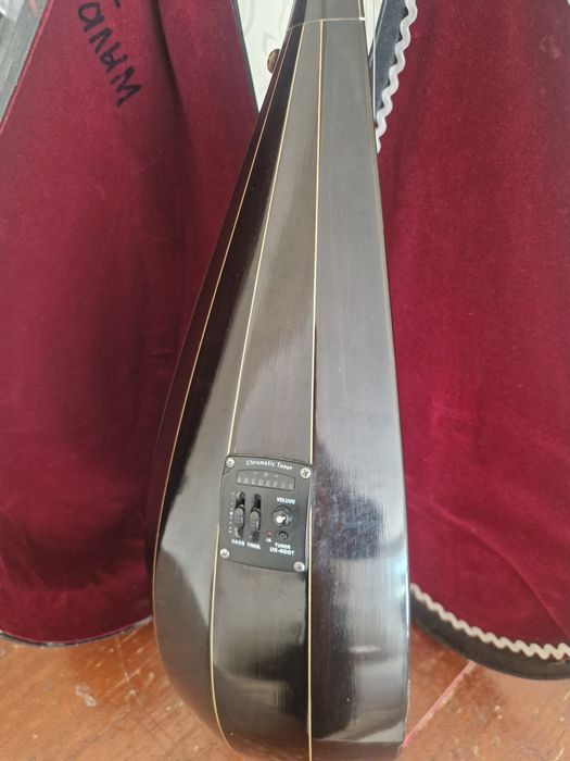 Электронный домбро