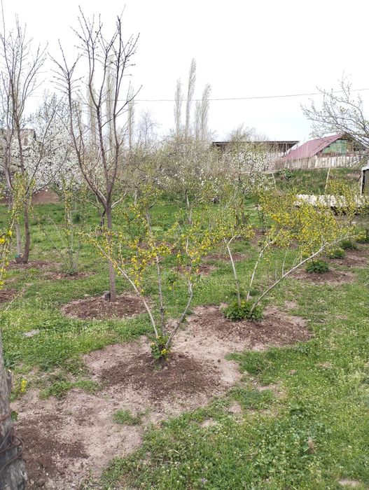 Продаётся большой участок 29 соток