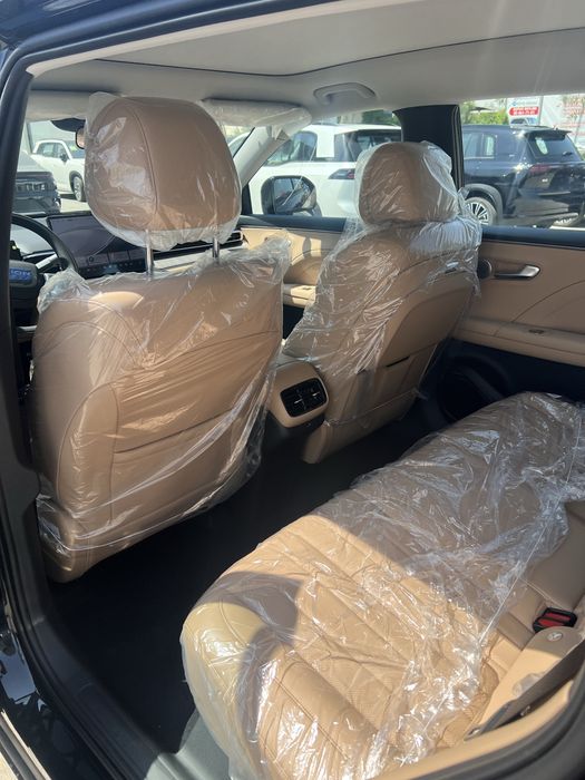 GAC AION i60 650 km + proektor