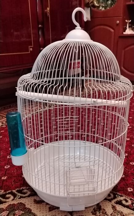 Недорого клетки для птиц и грызунов