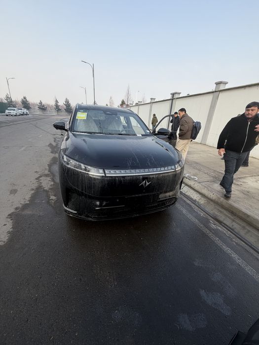 Dongfeng ep 008 reystayling