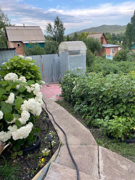 Дача. Летний дом