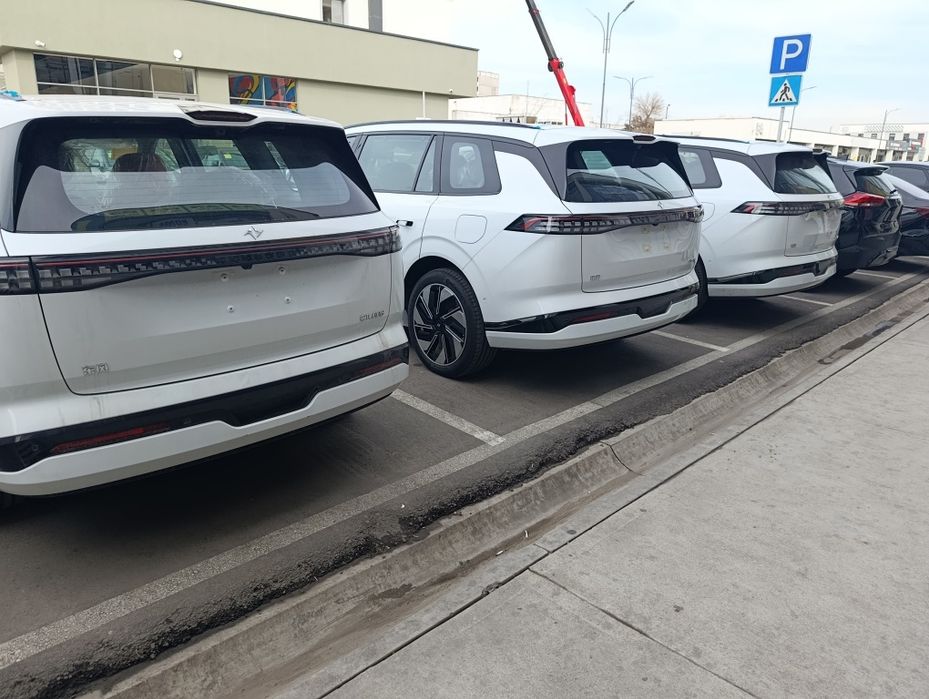 DOMFEN 008 max 2025 gibrit