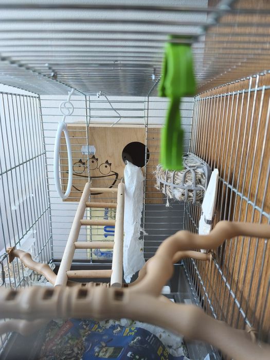 Vând cușcă papagali