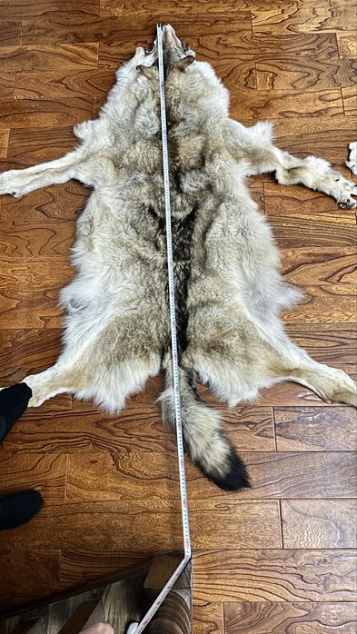 Волк арлан мех натуральный