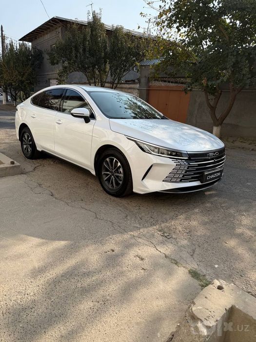 BYD chazor 2024 yil