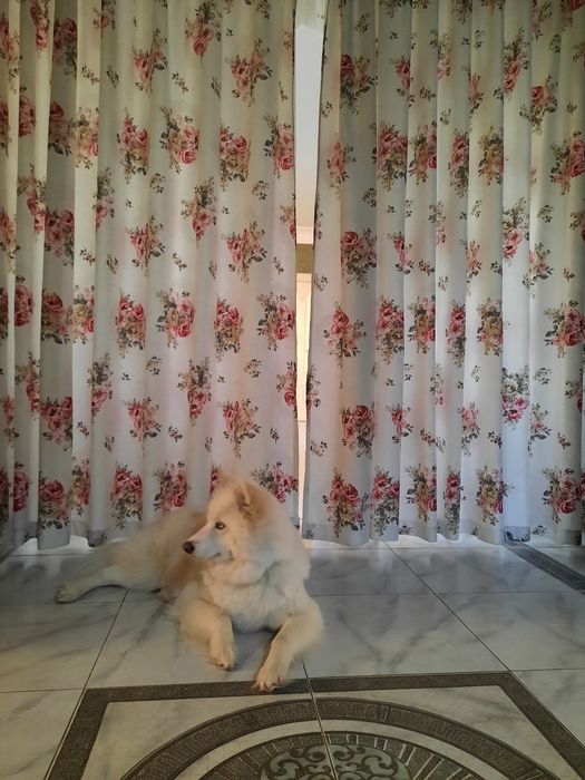 Ш  т   о   р   ы