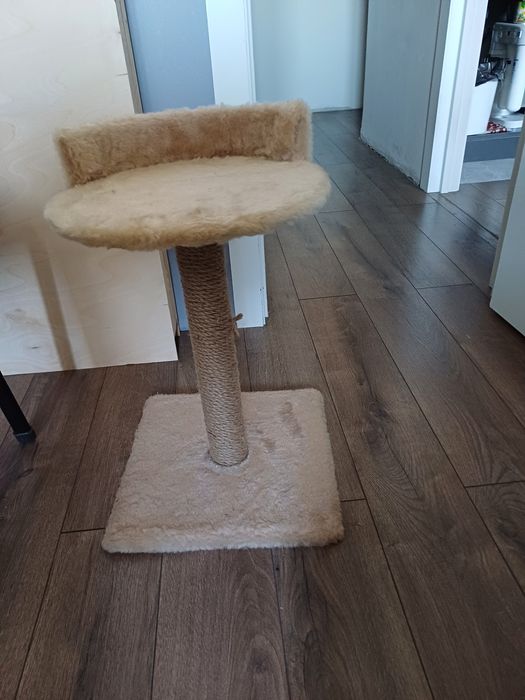 Когтеточка лежанка