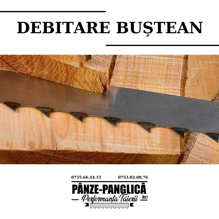 Panze banzic 4100x40 VIPER, fierastrau panglica gater bustean