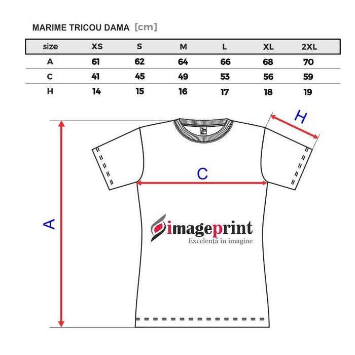 Inscriptionare tricouri (logo, text) - gama de culori variata