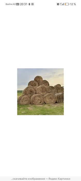 продам сено в рулонах
