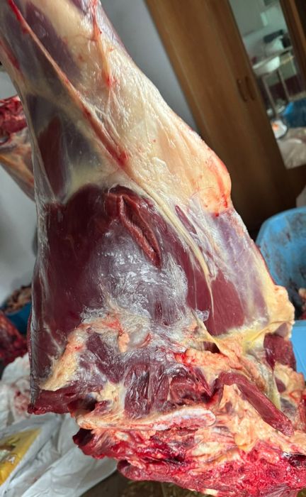 Жылқы еті, соғым, халал