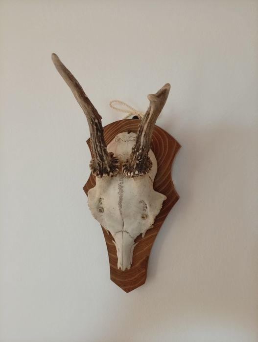 Decorațiune de perete