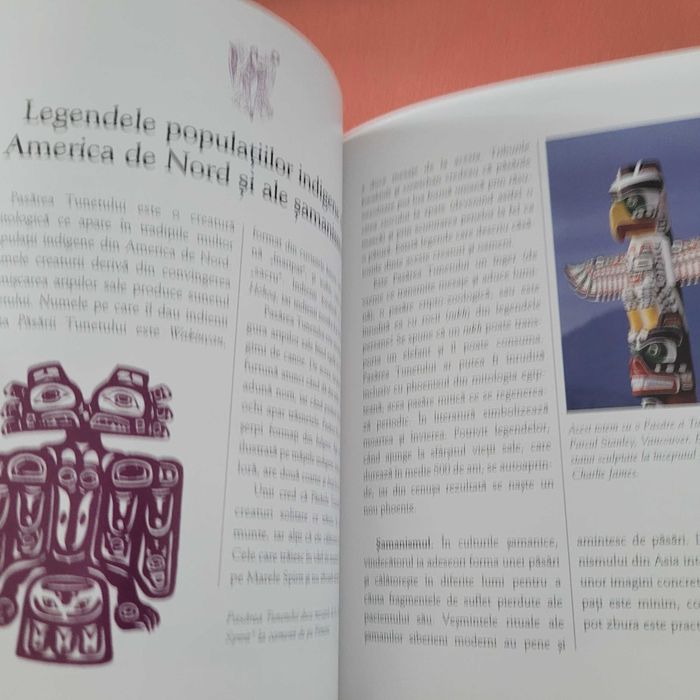 Pachet 7 cărți Totul despre