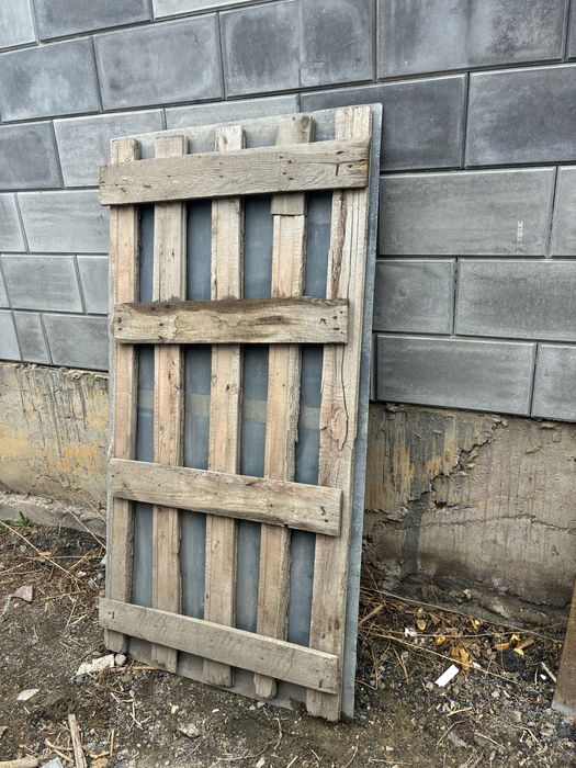 Продам опаблука 3 шт