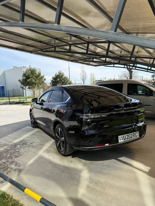 BYD Chazor 4poz Full