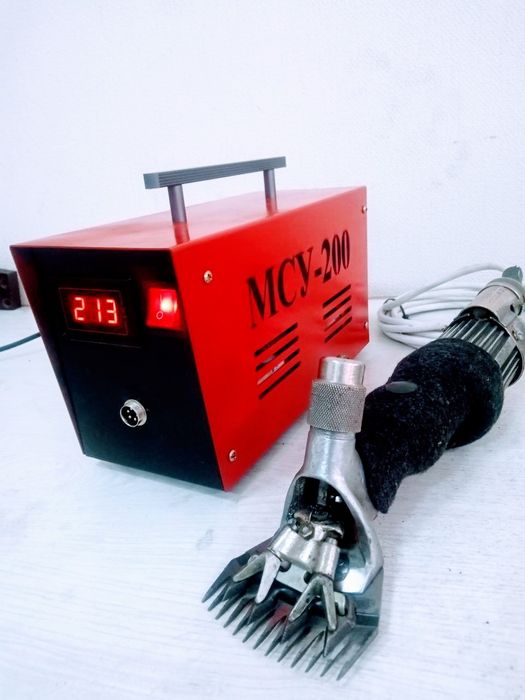 Үйдегі терең минет