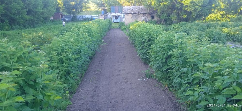 Продам фазенду или дачу