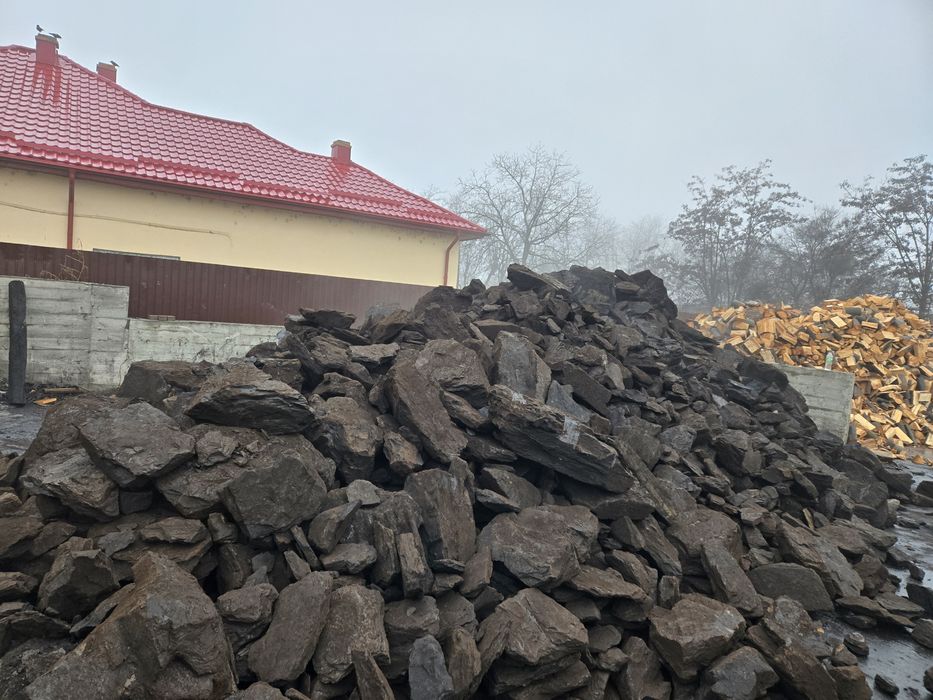 Carbune/ Carbuni lignit